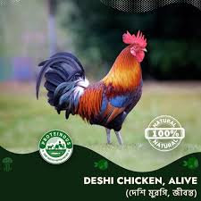 Deshi Chicken (Processed)